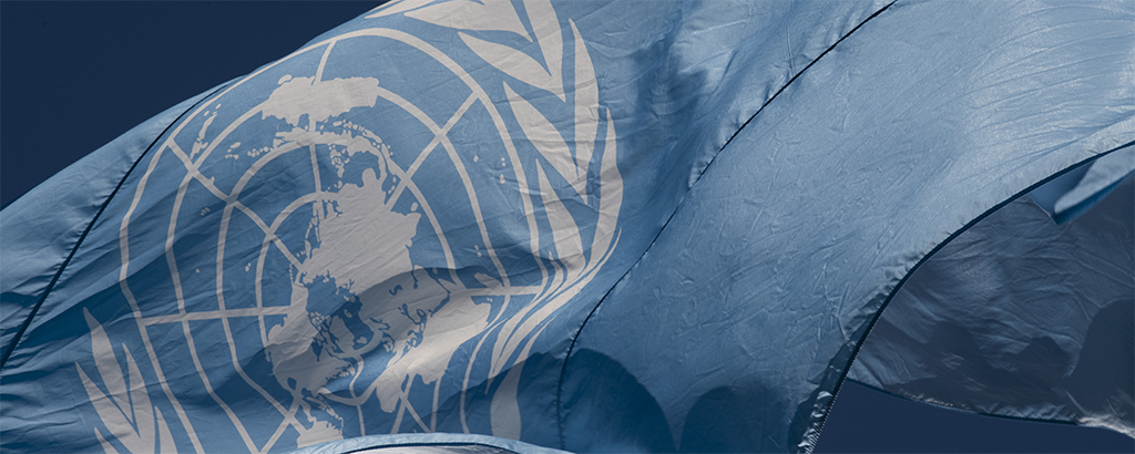 Un Flag (6)
